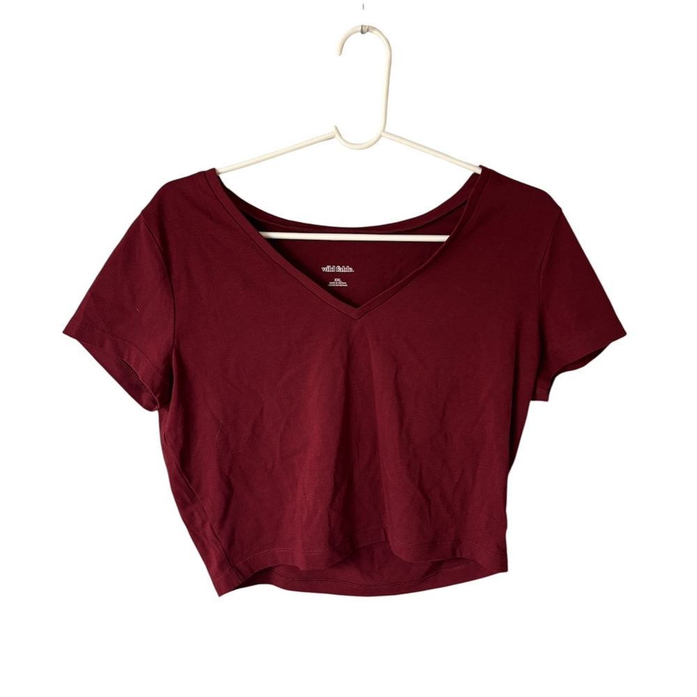 Wild Fable Deep Red V-Neck Crop Top